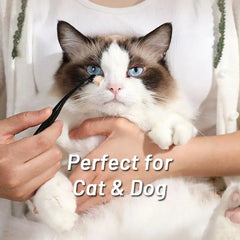 Pet Tear Stain Removal Brush Eye Cleaning Tear Stain Powder Brush Eye Poo Brush - PeticaDeals