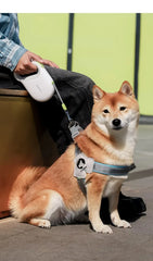 Pet Traction Rope Expansion Controllable Safety - PeticaDeals