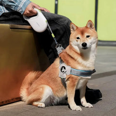 Pet Traction Rope Expansion Controllable Safety - PeticaDeals