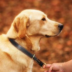 Pet Training Collars Adjustable Handmade Genuine Leather Dog Collar - PeticaDeals