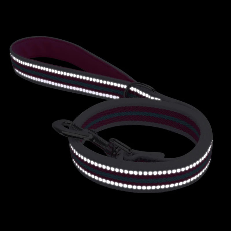 Pet Walking Training Leash Towing Rope Guard - PeticaDeals