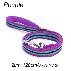 Pet Walking Training Leash Towing Rope Guard - PeticaDeals