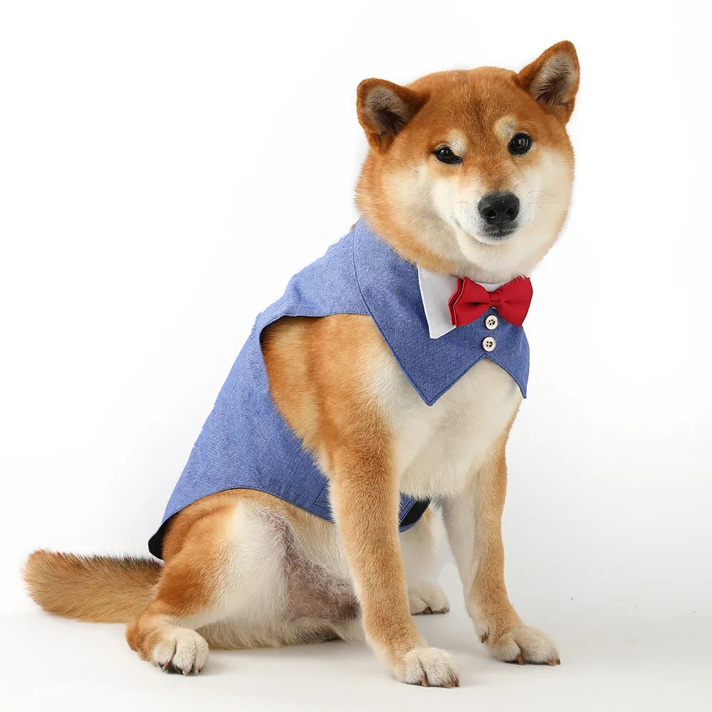 Pets Harness Vest Set - PeticaDeals