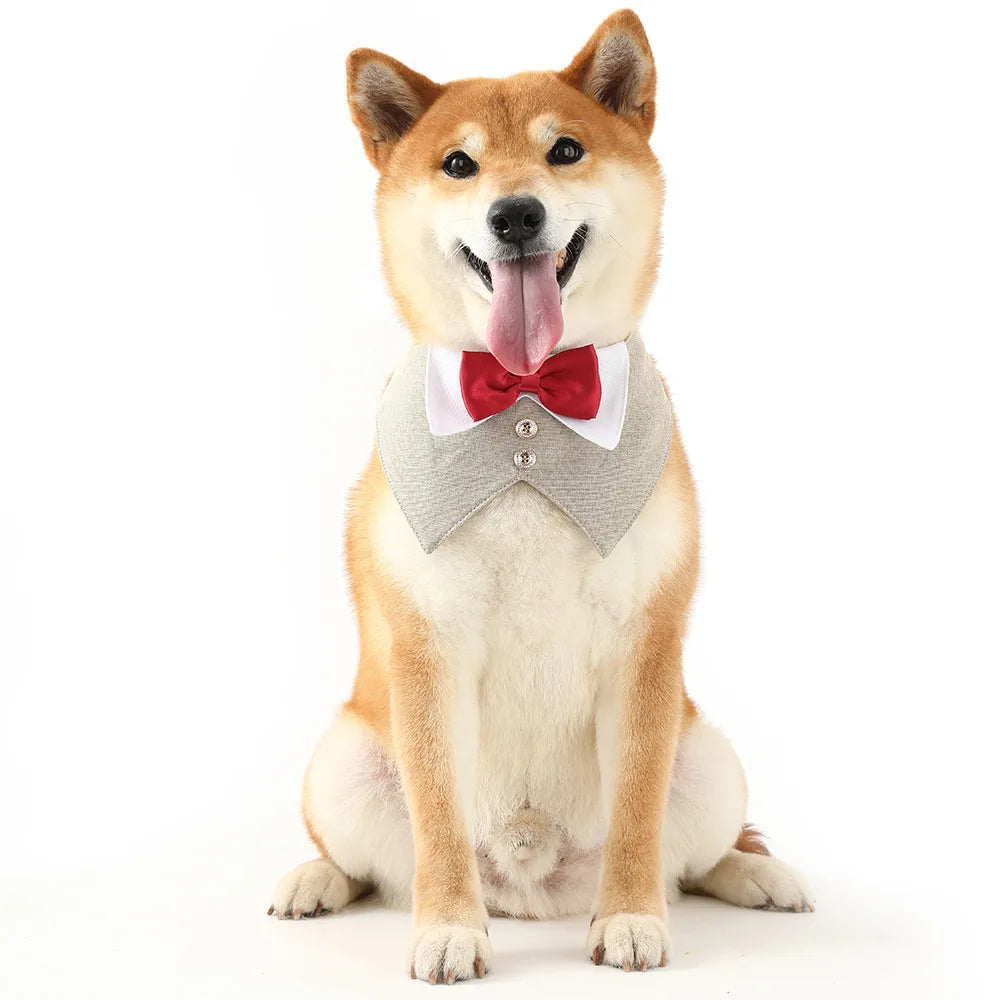 Pets Harness Vest Set - PeticaDeals