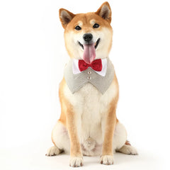 Pets Harness Vest Set - PeticaDeals