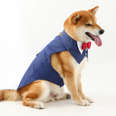 Pets Harness Vest Set - PeticaDeals