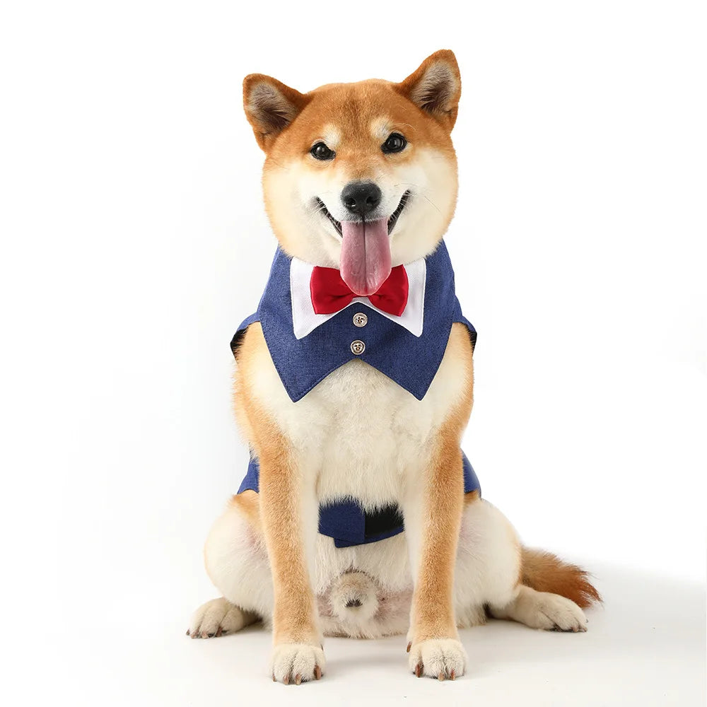 Pets Harness Vest Set - PeticaDeals