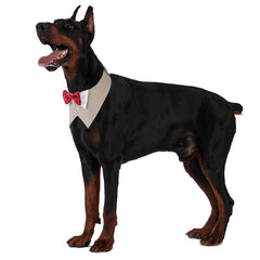 Pets Harness Vest Set - PeticaDeals