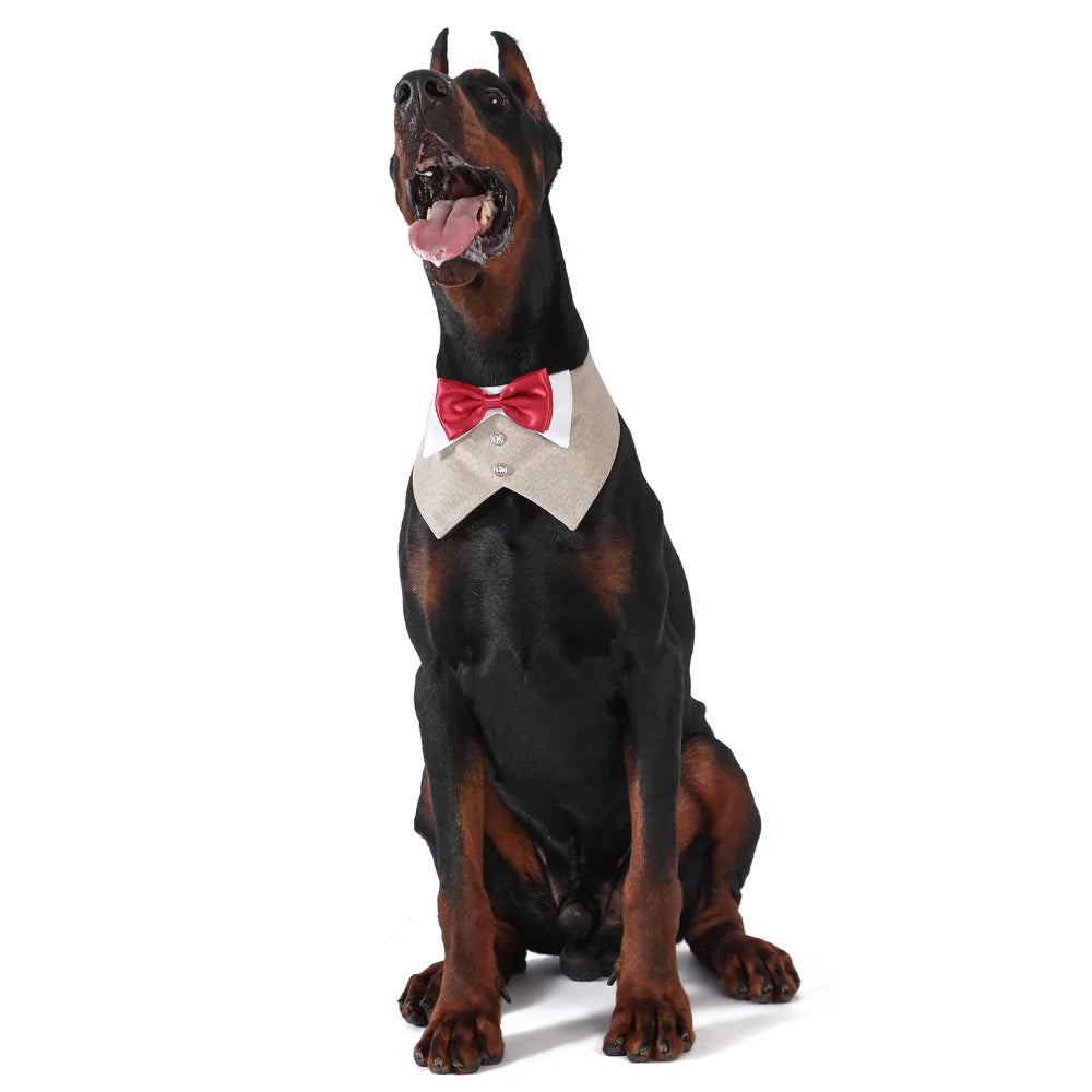 Pets Harness Vest Set - PeticaDeals