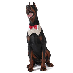 Pets Harness Vest Set - PeticaDeals