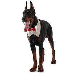 Pets Harness Vest Set - PeticaDeals