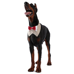 Pets Harness Vest Set - PeticaDeals