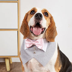 Pets Harness Vest Set - PeticaDeals