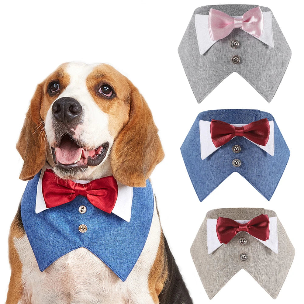 Pets Harness Vest Set - PeticaDeals