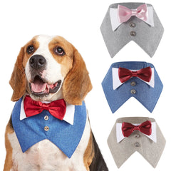 Pets Harness Vest Set - PeticaDeals