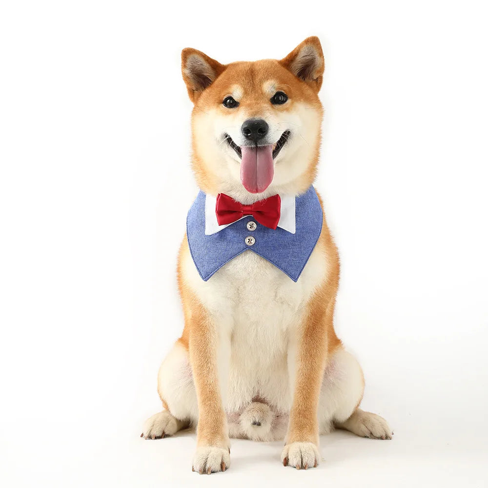 Pets Harness Vest Set - PeticaDeals