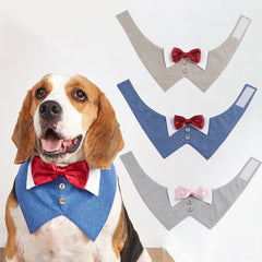 Pets Harness Vest Set - PeticaDeals