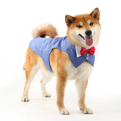 Pets Harness Vest Set - PeticaDeals