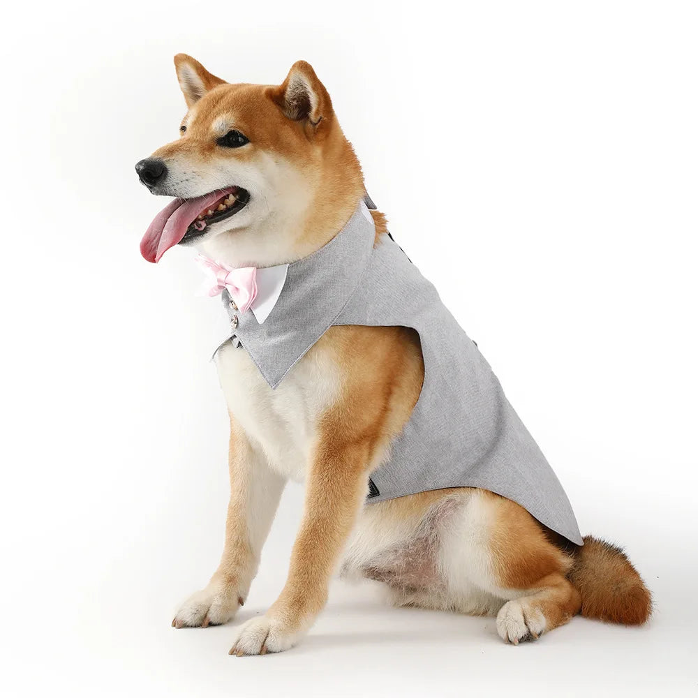 Pets Harness Vest Set - PeticaDeals