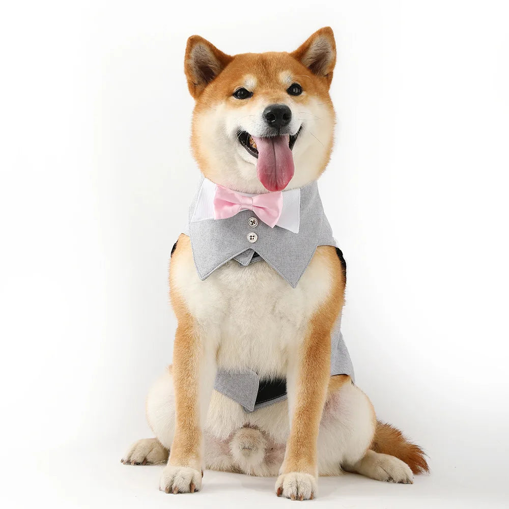 Pets Harness Vest Set - PeticaDeals