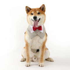 Pets Harness Vest Set - PeticaDeals