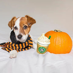 Plush Dog Toys Chew Squeaky Dog Toy - PeticaDeals