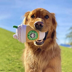 Plush Dog Toys Chew Squeaky Dog Toy - PeticaDeals