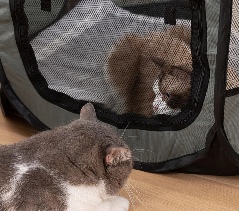 Portable Foldable Cats and Dogs Tent Portable Folding Outdoor Travel - PeticaDeals