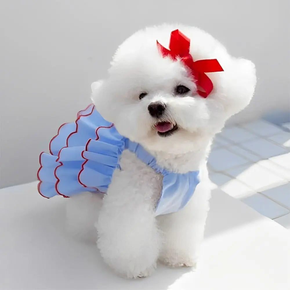 Princess Dress For Cats & Small Dogs - PeticaDeals