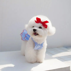 Princess Dress For Cats & Small Dogs - PeticaDeals