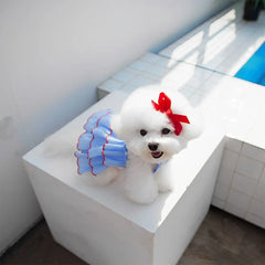 Princess Dress For Cats & Small Dogs - PeticaDeals