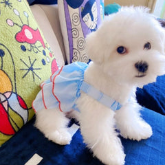 Princess Dress For Cats & Small Dogs - PeticaDeals