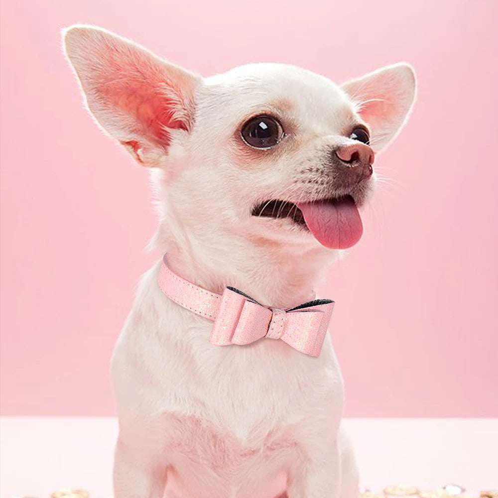 Puppy Cat Collars Bling Kitten Dog Necklace Adjustable - PeticaDeals