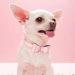 Puppy Cat Collars Bling Kitten Dog Necklace Adjustable - PeticaDeals