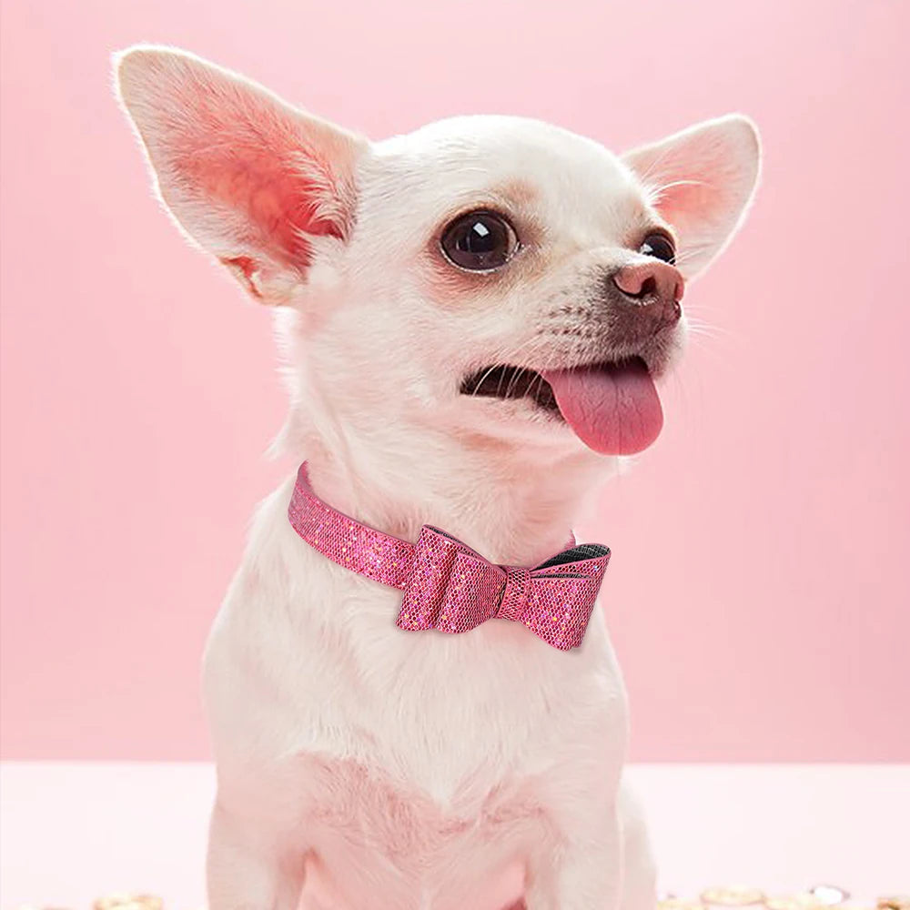 Puppy Cat Collars Bling Kitten Dog Necklace Adjustable - PeticaDeals