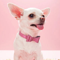 Puppy Cat Collars Bling Kitten Dog Necklace Adjustable - PeticaDeals