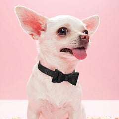 Puppy Cat Collars Bling Kitten Dog Necklace Adjustable - PeticaDeals