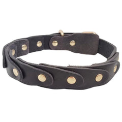 Real Leather Dog Collar Genuine Leather Buckle Connection Collar Durable - PeticaDeals