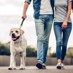 Real Leather Dog Leash 30/50cm Short Dog Leash Genuine Leather Traffic Lead - PeticaDeals