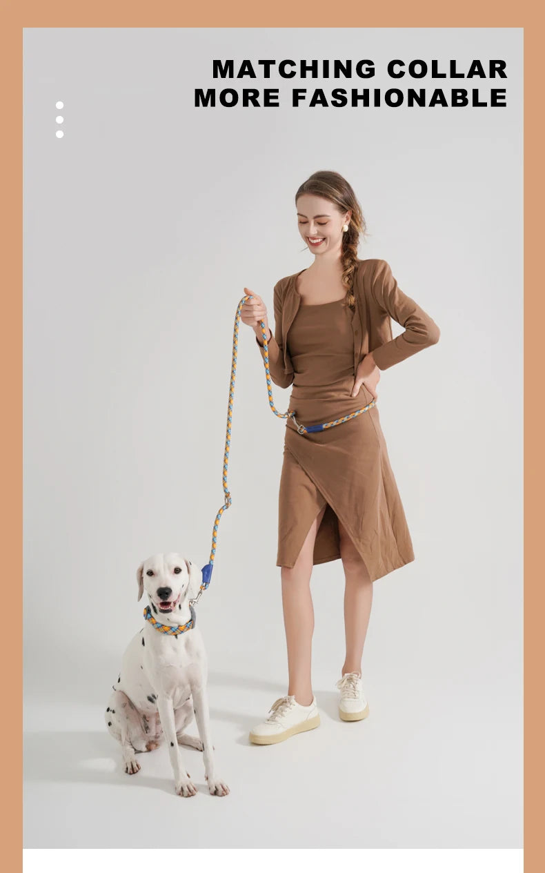 Reflective Series Dog Leash For Small Medium & Large - PeticaDeals