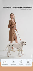 Reflective Series Dog Leash For Small Medium & Large - PeticaDeals