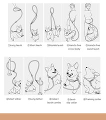 Reflective Series Dog Leash For Small Medium & Large - PeticaDeals