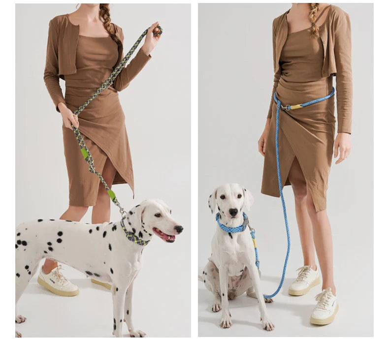 Reflective Series Dog Leash For Small Medium & Large - PeticaDeals