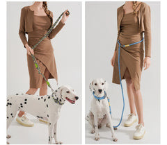 Reflective Series Dog Leash For Small Medium & Large - PeticaDeals
