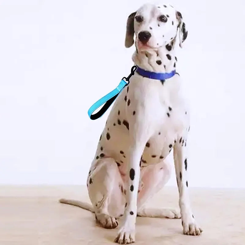 Reflective Short Leash for Medium Large Dog Walking Soft Padded Handle Dog Leashes Short Pet Chain - PeticaDeals