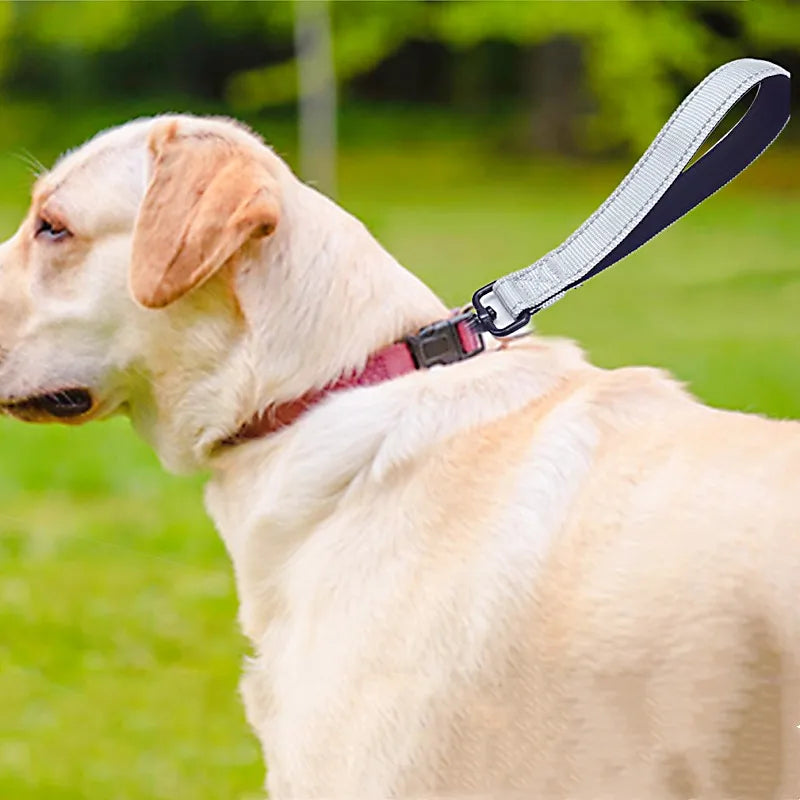Reflective Short Leash for Medium Large Dog Walking Soft Padded Handle Dog Leashes Short Pet Chain - PeticaDeals