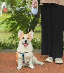 Retractable Dog Cat Rope for Small Medium Pet - PeticaDeals