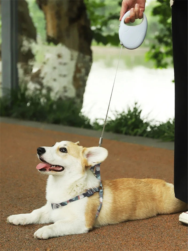 Retractable Dog Cat Rope for Small Medium Pet - PeticaDeals