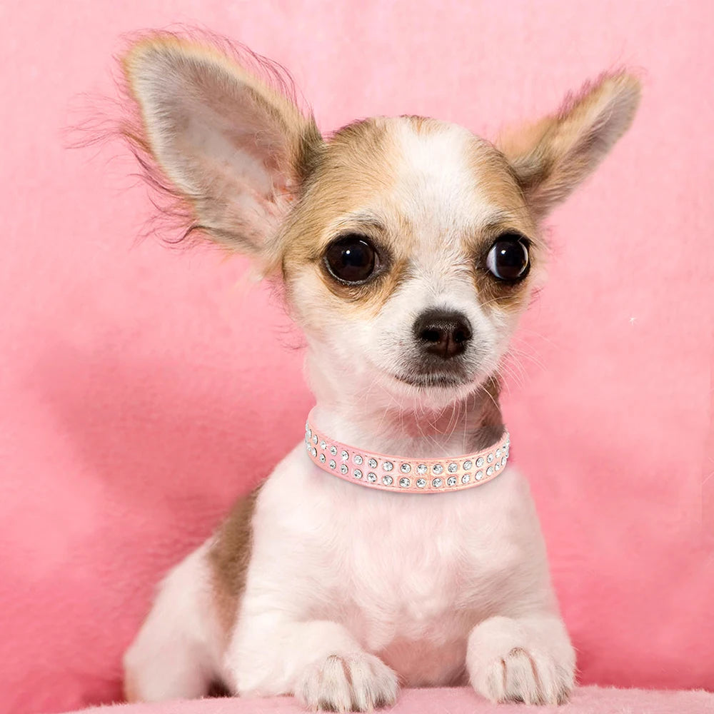 Rhinestone Dog & Cats Collar Shining Diamond - PeticaDeals