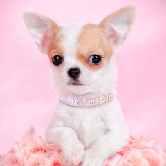 Rhinestone Dog & Cats Collar Shining Diamond - PeticaDeals